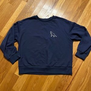 Boys Navy Blue Sweatshirt with dinosaur design